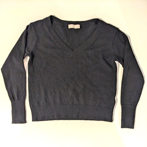 Everlane The Cashmere V-Neck Sweater | 100% Cashmere | XXS | Black | GUC - Picture 2 of 8